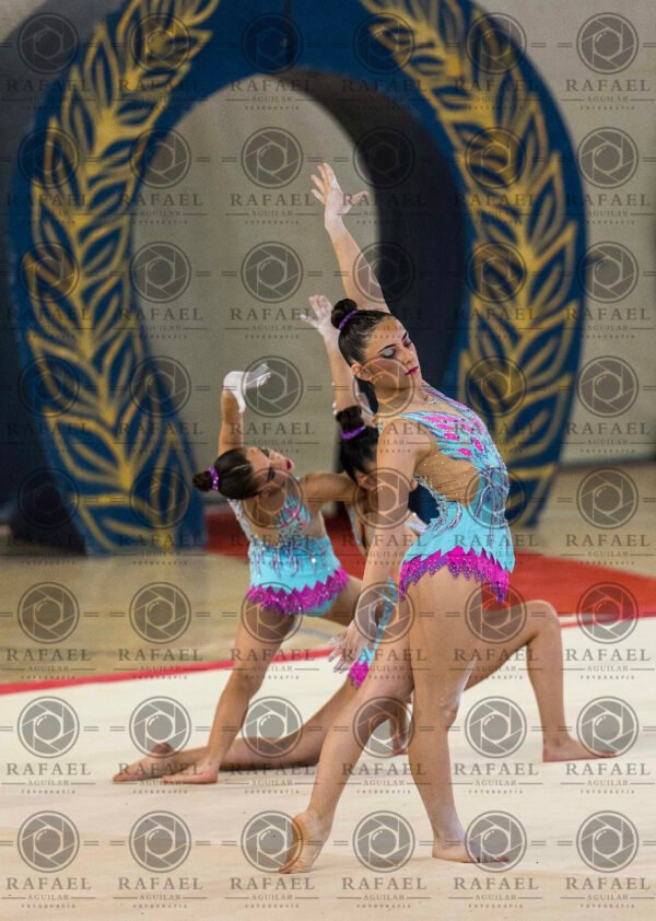 WG 7 - Imagen 2