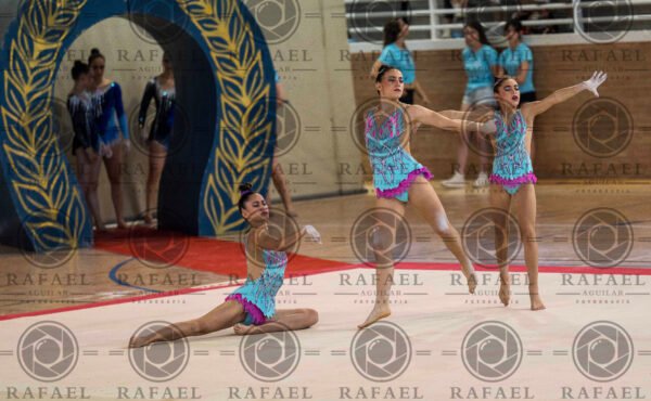 WG 7 - Imagen 3