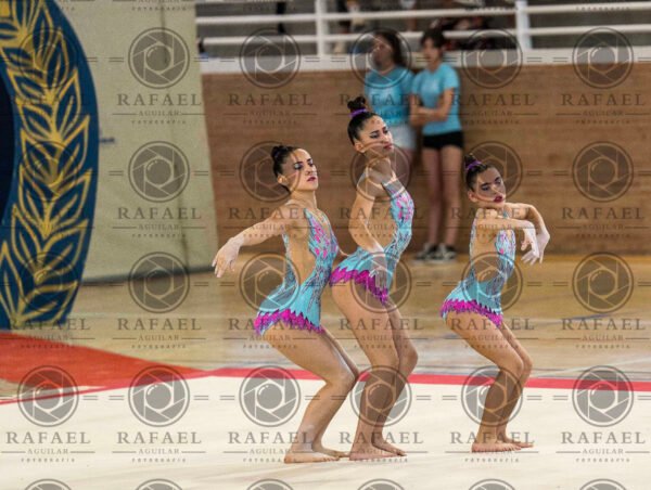 WG 7 - Imagen 4