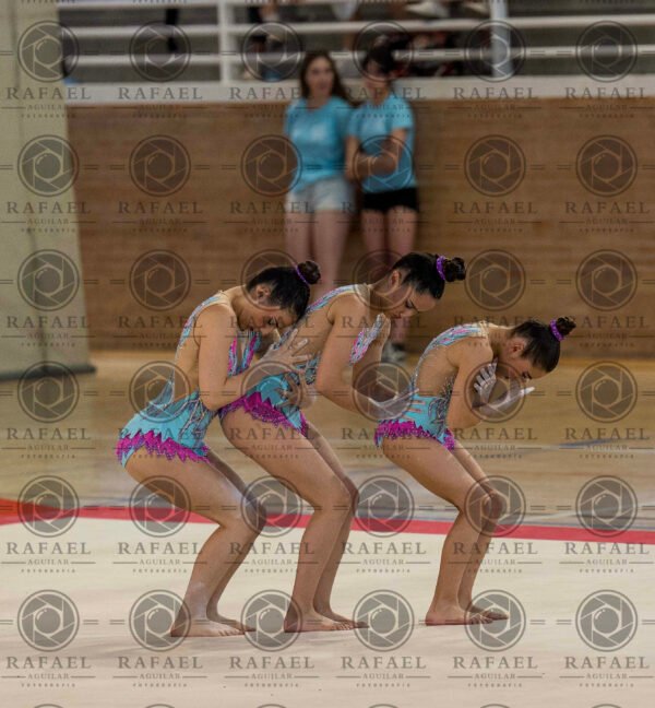 WG 7 - Imagen 5