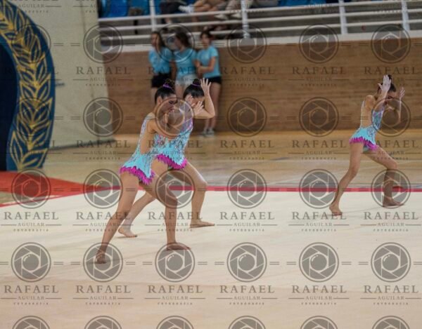 WG 7 - Imagen 8