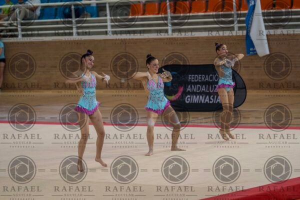WG 7 - Imagen 9