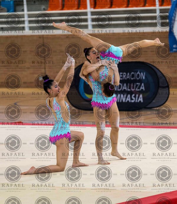 WG 7 - Imagen 10