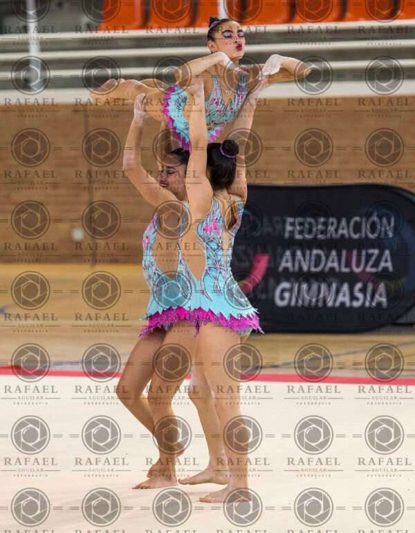 WG 7 - Imagen 12