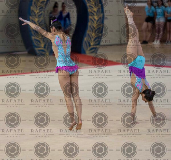 WG 7 - Imagen 14