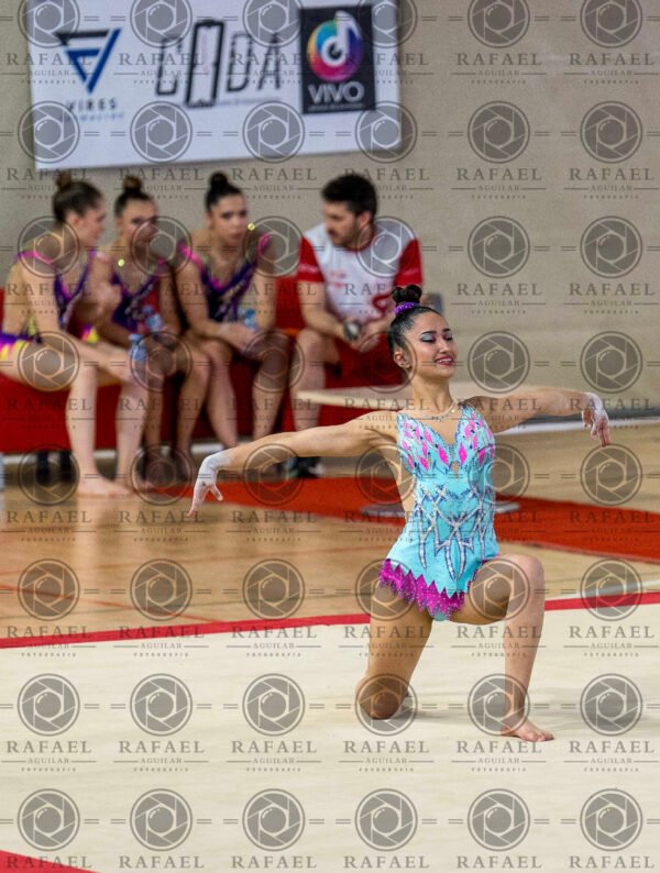 WG 7 - Imagen 15