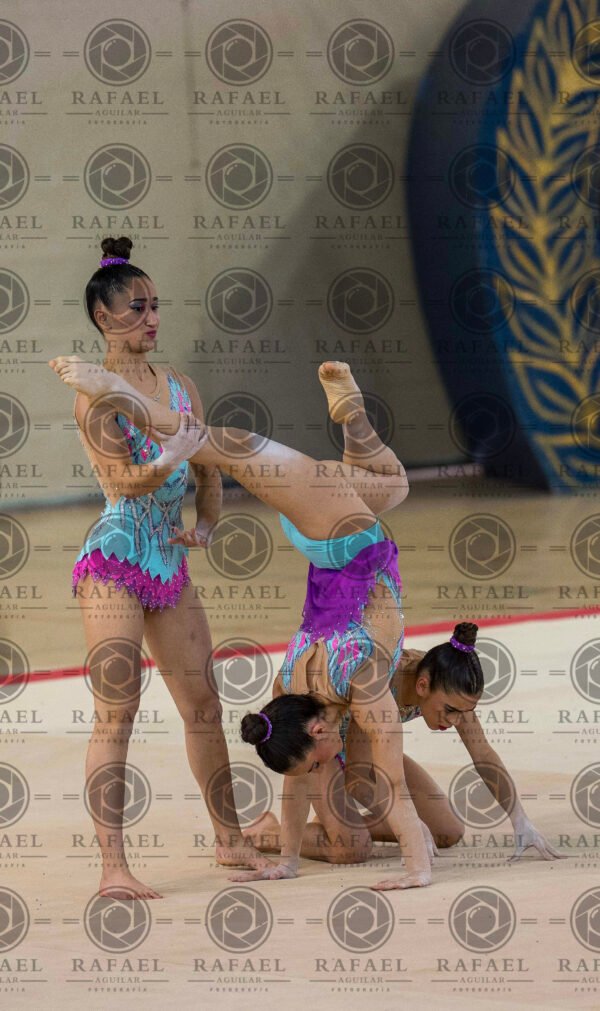 WG 7 - Imagen 19