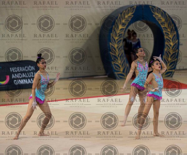 WG 7 - Imagen 20
