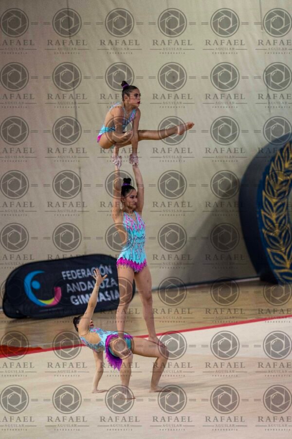 WG 7 - Imagen 23