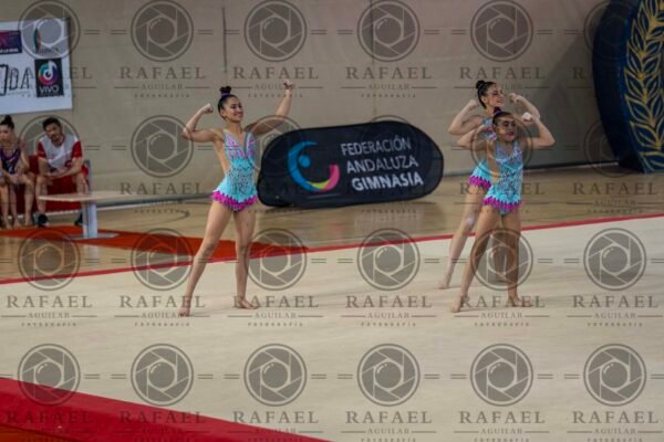 WG 7 - Imagen 24