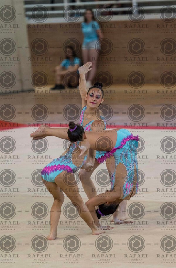 WG 7 - Imagen 25