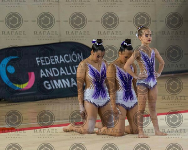 WG 8 - Imagen 2