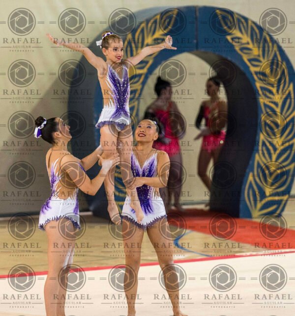 WG 8 - Imagen 4