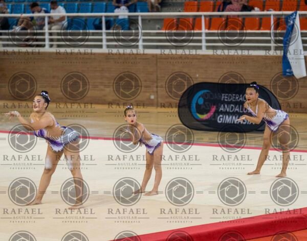 WG 8 - Imagen 6