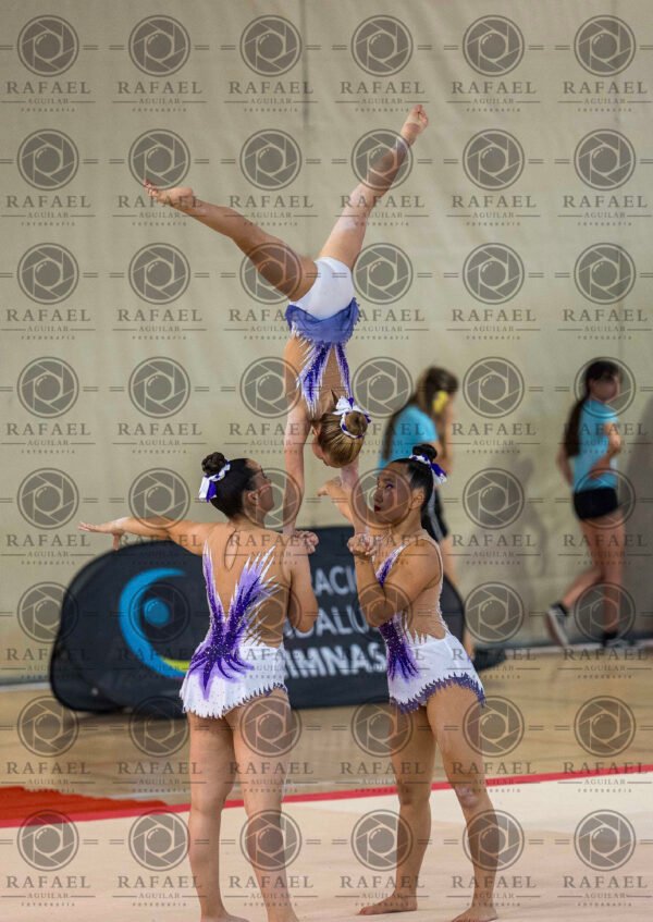 WG 8 - Imagen 9