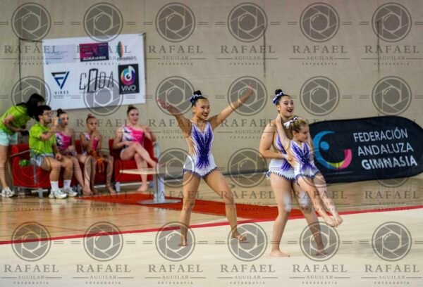 WG 8 - Imagen 10