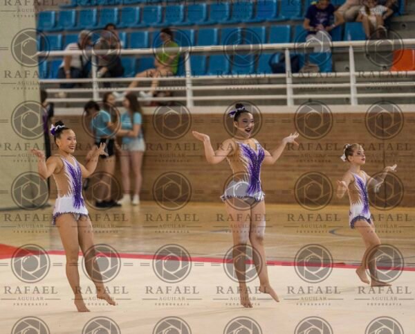 WG 8 - Imagen 12