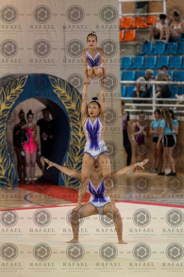 WG 8 - Imagen 14