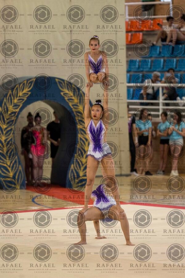 WG 8 - Imagen 15