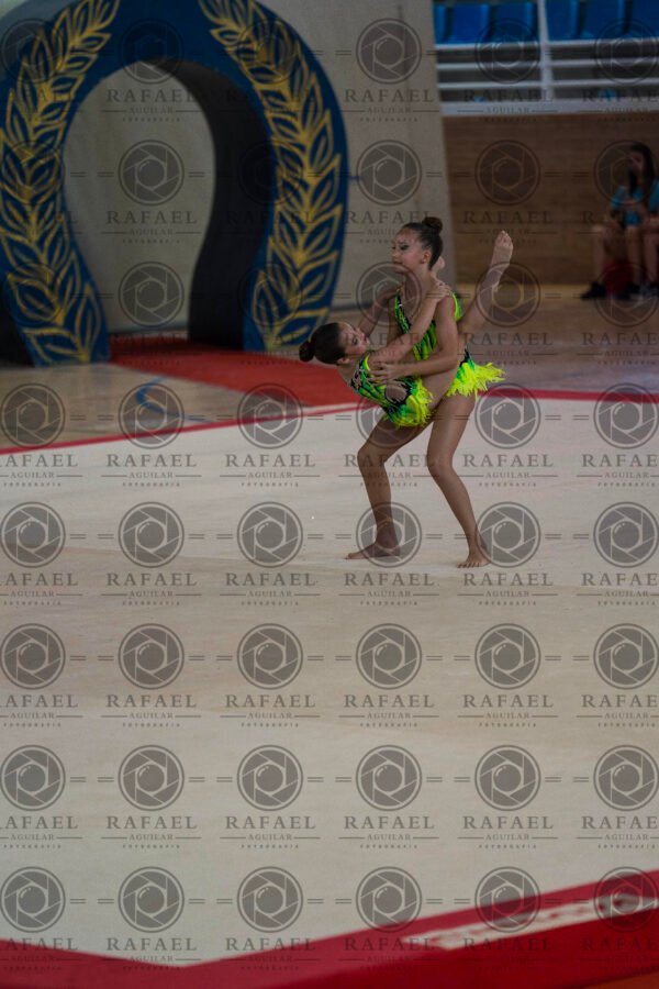 WP 1 - Imagen 7