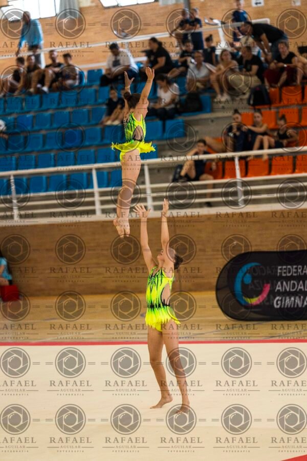 WP 1 - Imagen 10