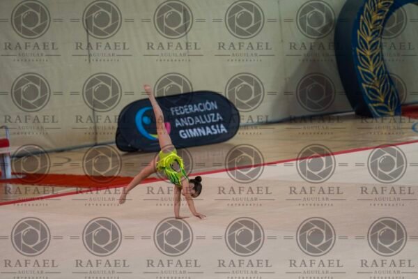WP 1 - Imagen 12