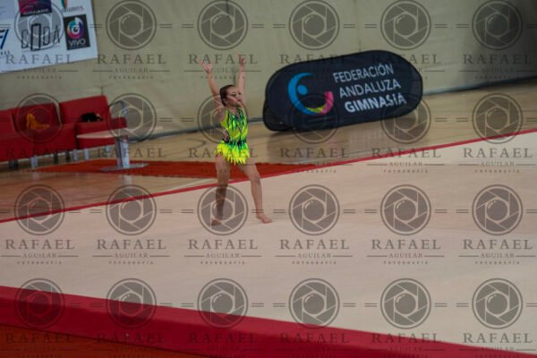 WP 1 - Imagen 13