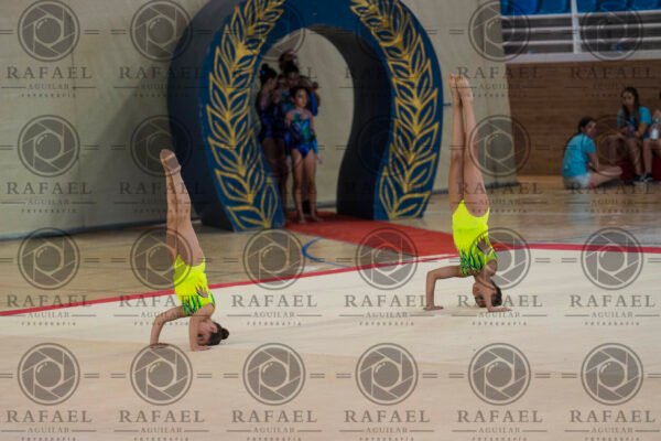 WP 1 - Imagen 17