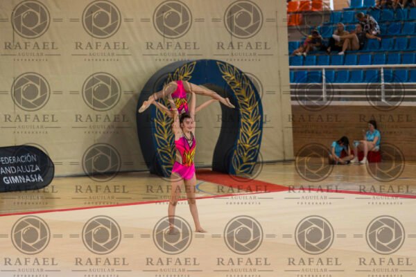 WP 1 - Imagen 2