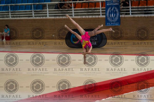 WP 1 - Imagen 3