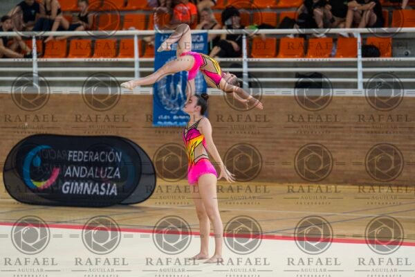 WP 1 - Imagen 4