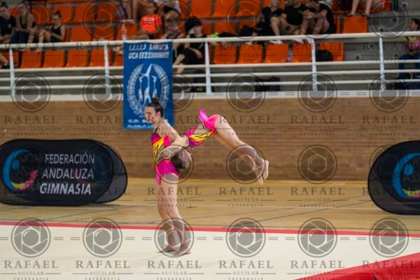 WP 1 - Imagen 5