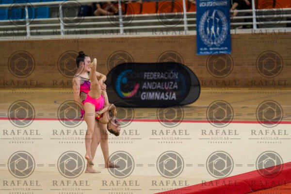 WP 1 - Imagen 6