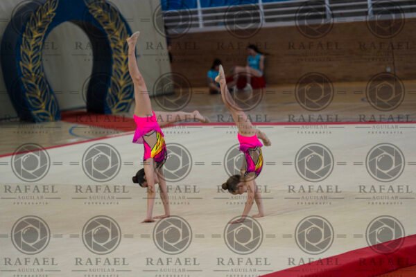 WP 1 - Imagen 8