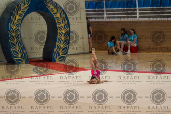 WP 1 - Imagen 10