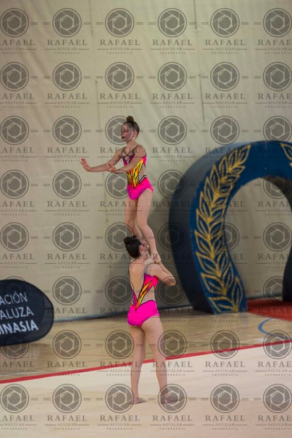 WP 1 - Imagen 13