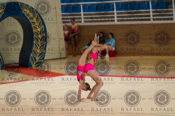 WP 1 - Imagen 16