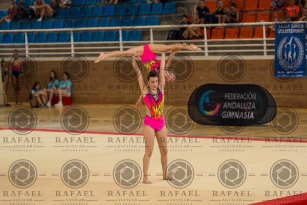 WP 1 - Imagen 18