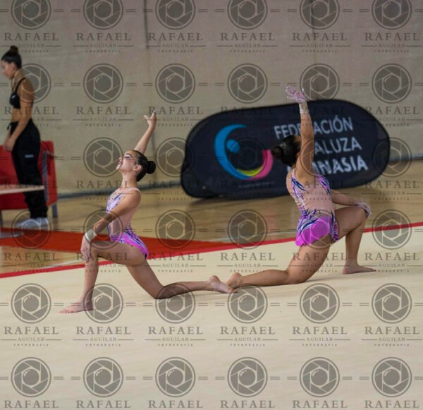 WP 2 - Imagen 3