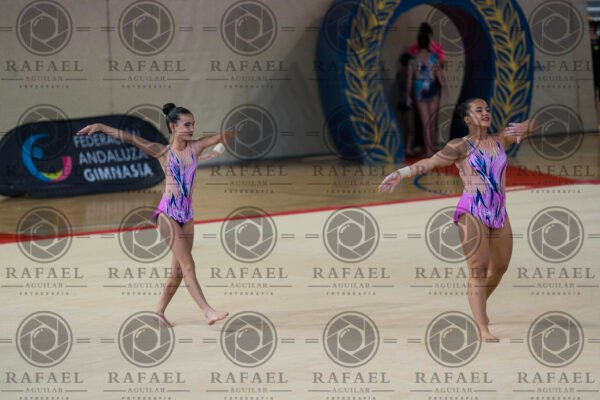 WP 2 - Imagen 5