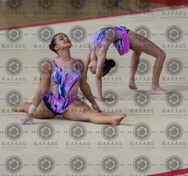 WP 2 - Imagen 8
