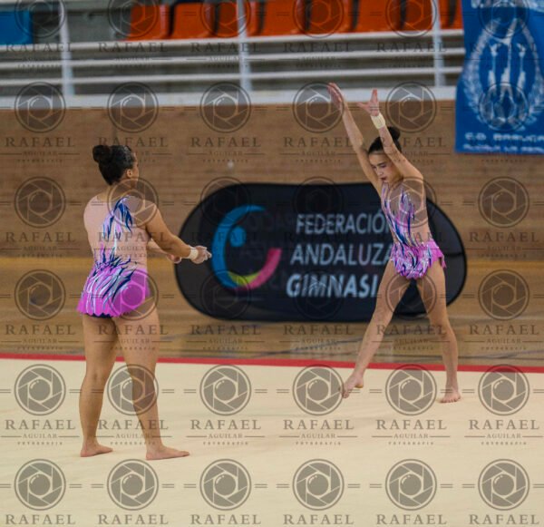 WP 2 - Imagen 10