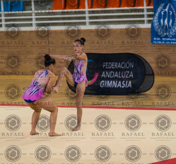 WP 2 - Imagen 11