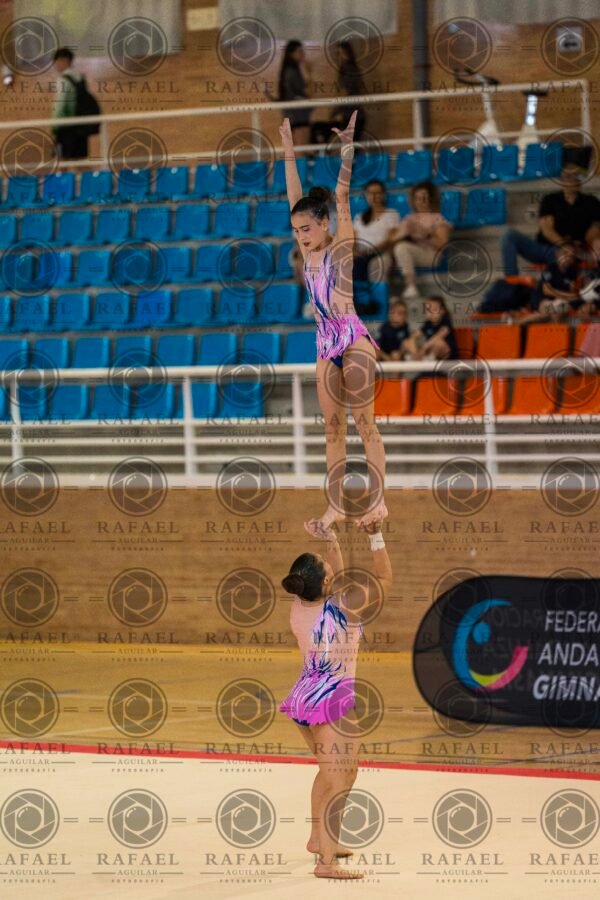 WP 2 - Imagen 12