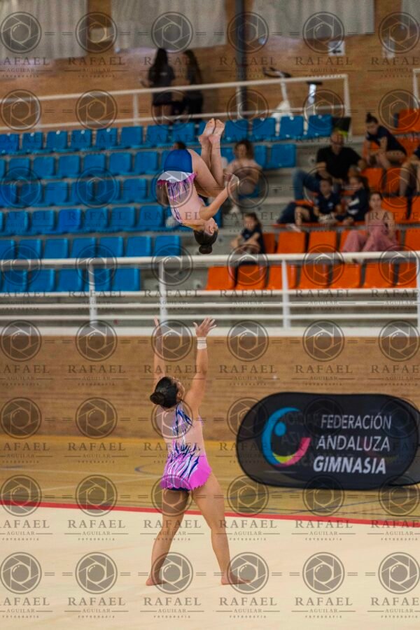 WP 2 - Imagen 13