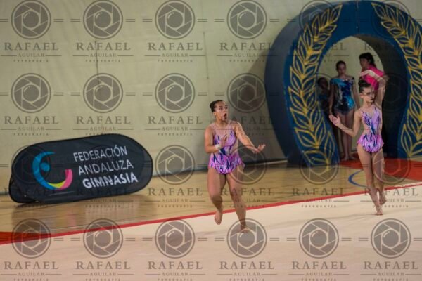 WP 2 - Imagen 15