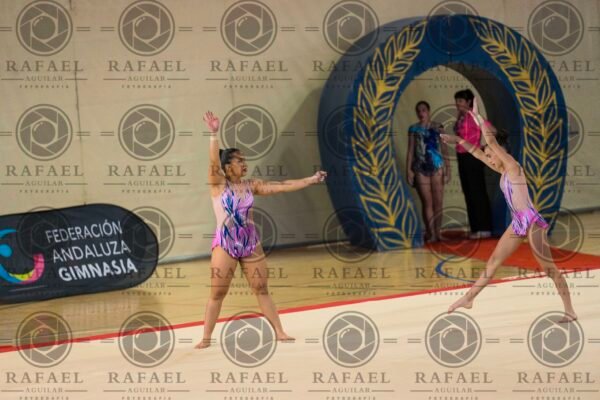 WP 2 - Imagen 16