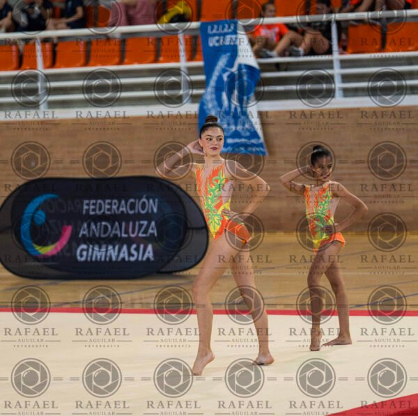 WP 5 - Imagen 9