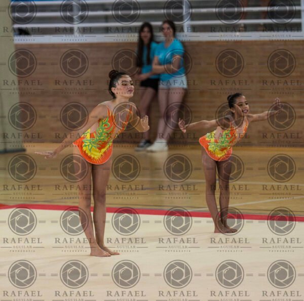 WP 5 - Imagen 10