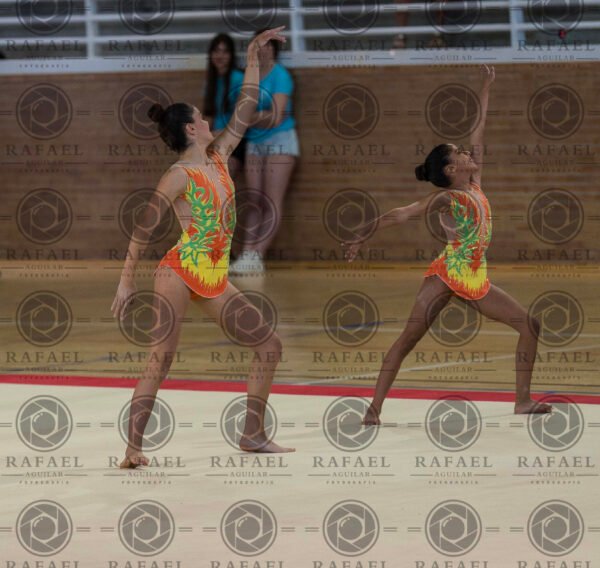 WP 5 - Imagen 11